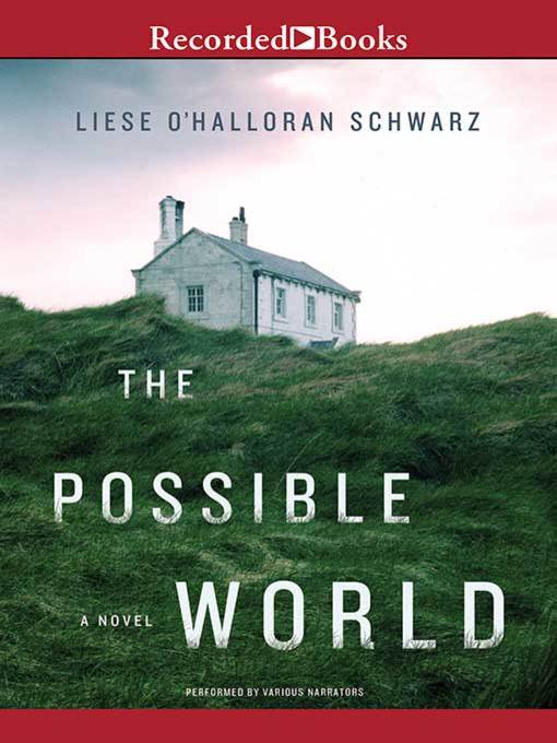Title details for The Possible World by Liese O'Halloran Schwarz - Wait list